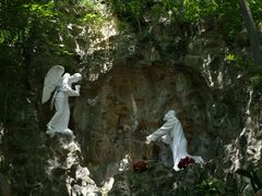 -上海佘山国家森林公园西佘山园