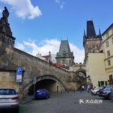 三两只洁白和平鸽悠哉地觅食