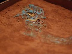 -盘龙城国家考古遗址公园