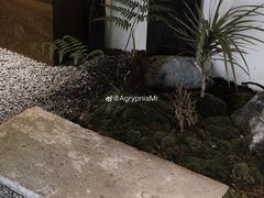 -Metal hands·铁手咖啡