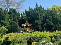 -嘉定紫藤园