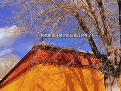 -罗布林卡