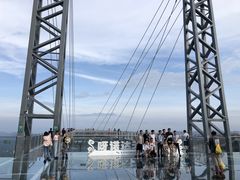 -呀诺达热带雨林