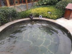 -郑州银基黄帝宫御温泉