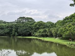 -东莞植物园