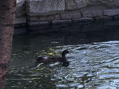 -春风习习