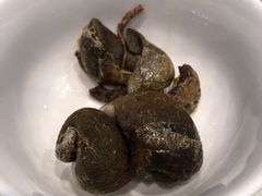 螺尾-东海酒家(长平东路店)