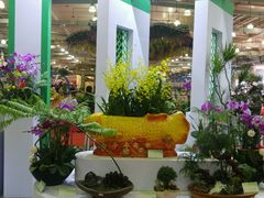 -东南花都花博园