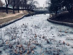 -咸阳湖景区-统一广场