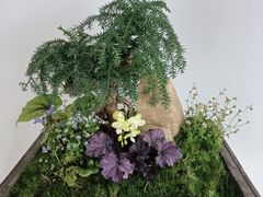-石家庄市植物园