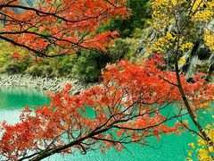 -叠溪松坪沟景区
