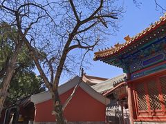 -北京市劳动人民文化宫(太庙)