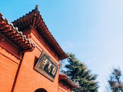 -洛阳白马寺