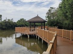 -大湾区中央湿地公园
