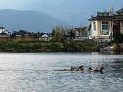 -大理洱源西湖景区