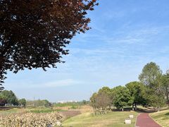 -两河城市森林公园