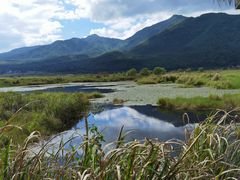 -腾冲北海湿地
