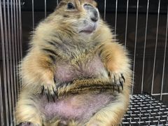 -乐宠宠物店(世纪金源店)