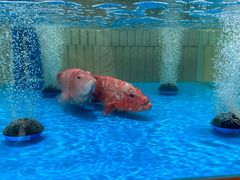 -一澜江宴·江景公园餐厅(江滩公园店)
