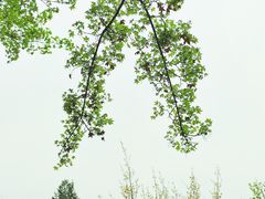 -地坛公园