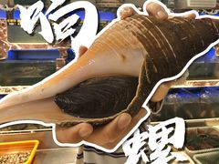 -长平肥姐白粥·海鲜打冷