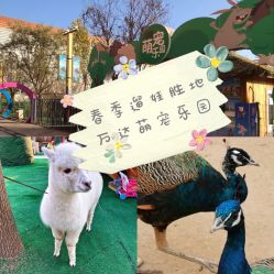 -萌宠亲子动物乐园(槐房万达店)