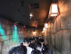 -翱翔飞越地平线