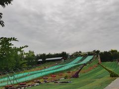 -北京鹿世界主题园