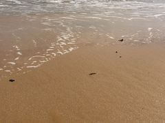 -青岛银沙滩