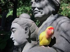 -王顺山国家森林公园