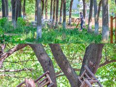 -祥源·阜阳生态乐园