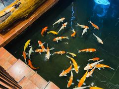 -顺丰国宴(工业博物馆店)