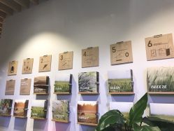 -悦诗风吟innisfree