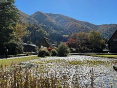 -白川乡与五箇山的合掌构造村落