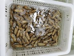 -渔人湾码头海鲜市场负二楼
