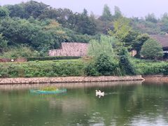 -莫干山风景区