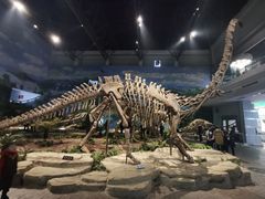 -自贡恐龙博物馆
