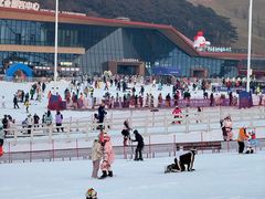 -东北亚滑雪场