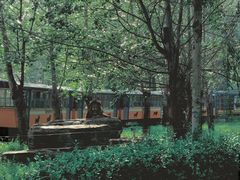 -秦皇岛野生动物园