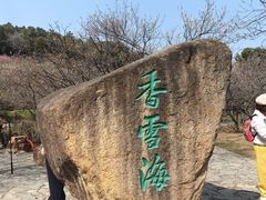 -香雪海