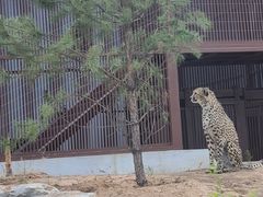 -太原动物园