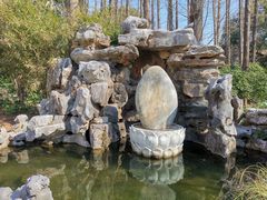 -上海醉白池公园