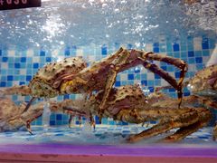 -船奇蒸汽海鲜·闽菜(八市海鲜总店)