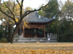 -汇龙潭