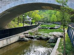 -白水寺森林公园