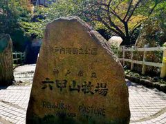 -神户市立六甲山牧场