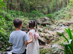 -火炉山森林公园