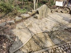 -上海佘山国家森林公园天马山园