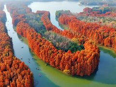 -上海海湾国家森林公园