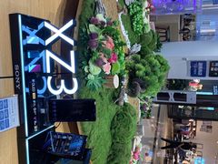 -Sony Store 索尼(来福士店)